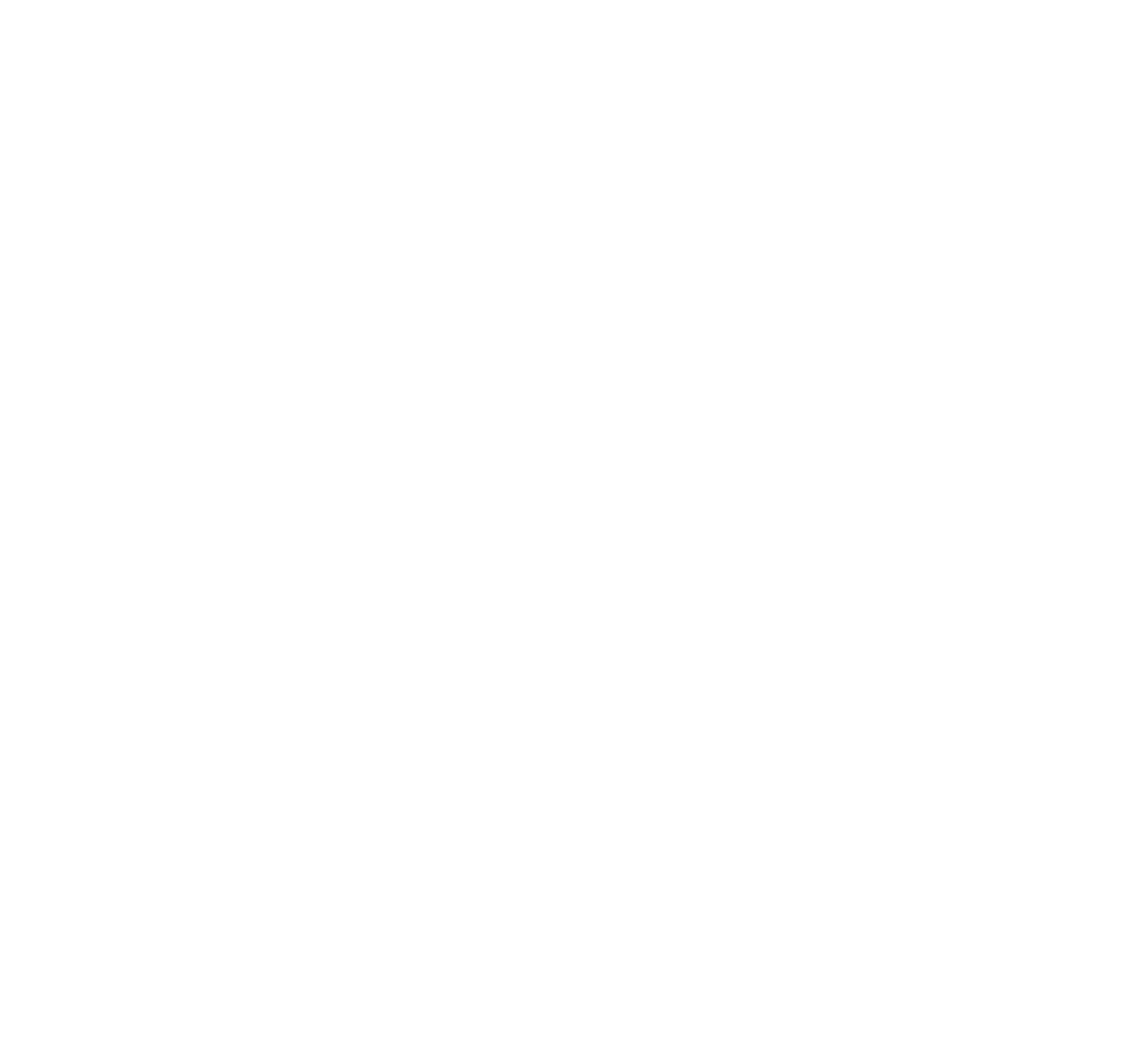 The White Hole Logo